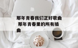 那年青春我们正好歌曲 那年青春里的所有插曲