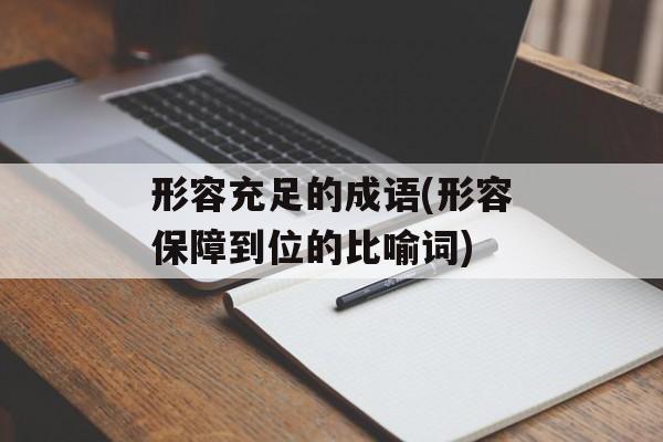 形容充足的成语(形容保障到位的比喻词)-第1张图片-