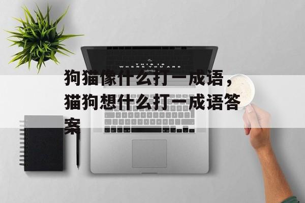 狗猫像什么打一成语，猫狗想什么打一成语答案-第1张图片-