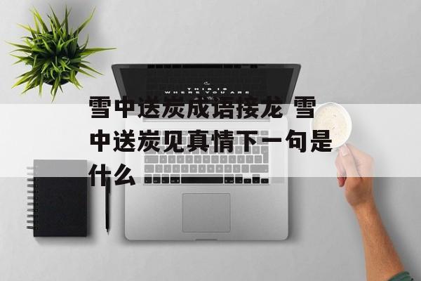 雪中送炭成语接龙 雪中送炭见真情下一句是什么-第1张图片-
