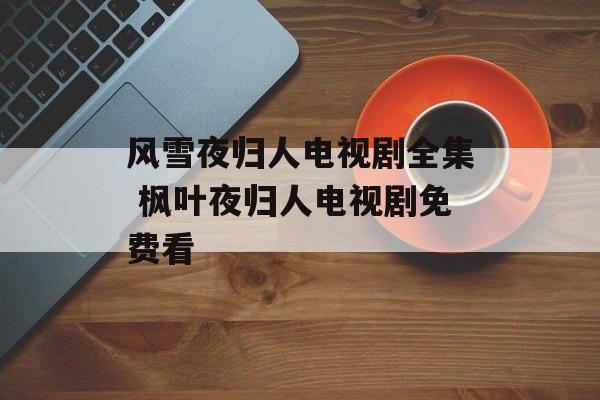 风雪夜归人电视剧全集 枫叶夜归人电视剧免费看-第1张图片-