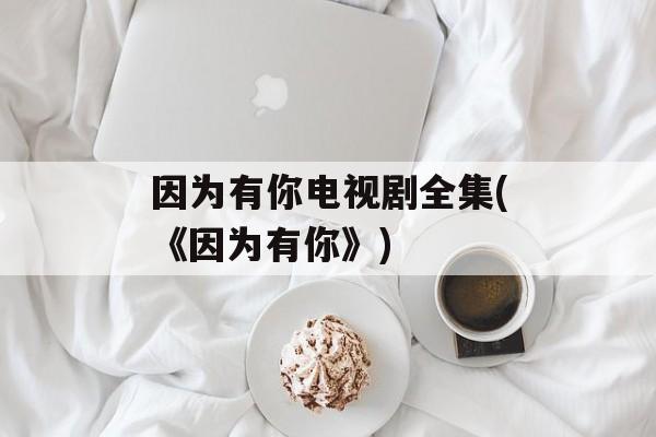 因为有你电视剧全集(《因为有你》)-第1张图片-