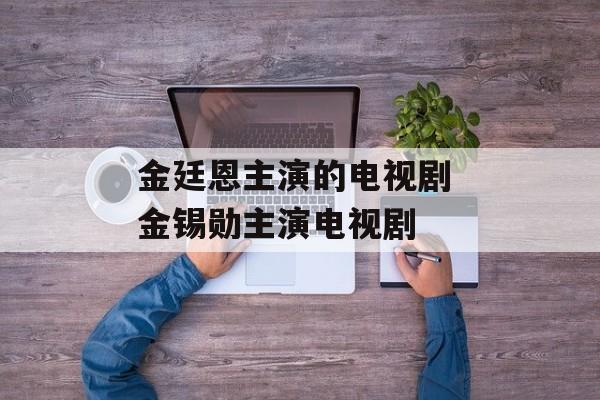 金廷恩主演的电视剧 金锡勋主演电视剧-第1张图片-