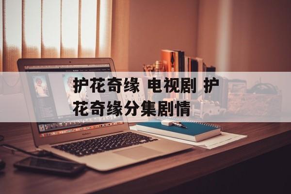 护花奇缘 电视剧 护花奇缘分集剧情-第1张图片-
