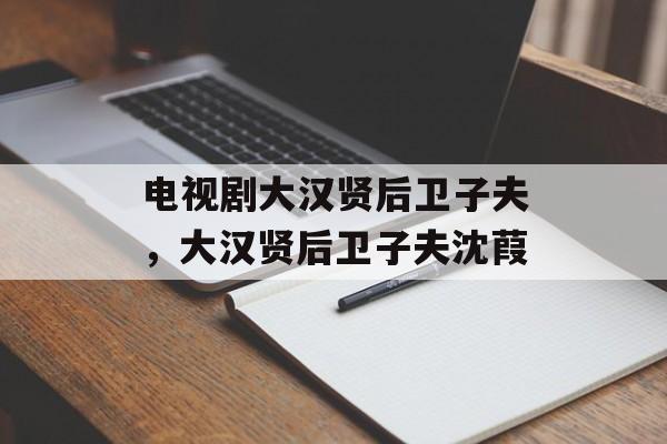 电视剧大汉贤后卫子夫，大汉贤后卫子夫沈葭-第1张图片-