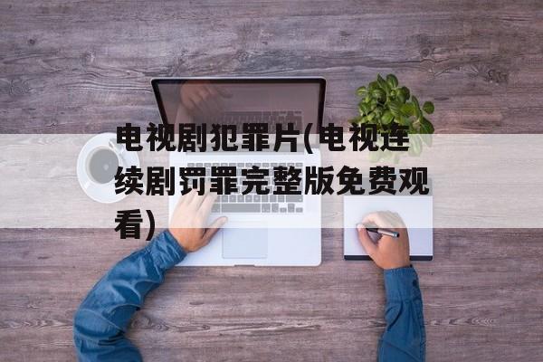 电视剧犯罪片(电视连续剧罚罪完整版免费观看)-第1张图片-