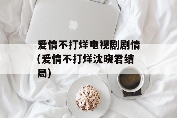 爱情不打烊电视剧剧情(爱情不打烊沈晓君结局)-第1张图片-