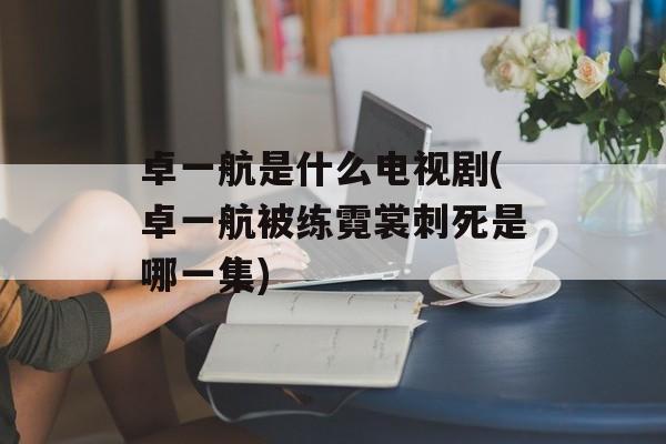 卓一航是什么电视剧(卓一航被练霓裳刺死是哪一集)-第1张图片-