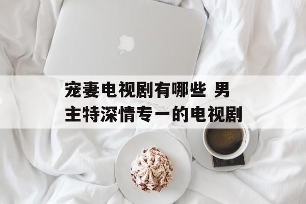宠妻电视剧有哪些 男主特深情专一的电视剧-第1张图片-