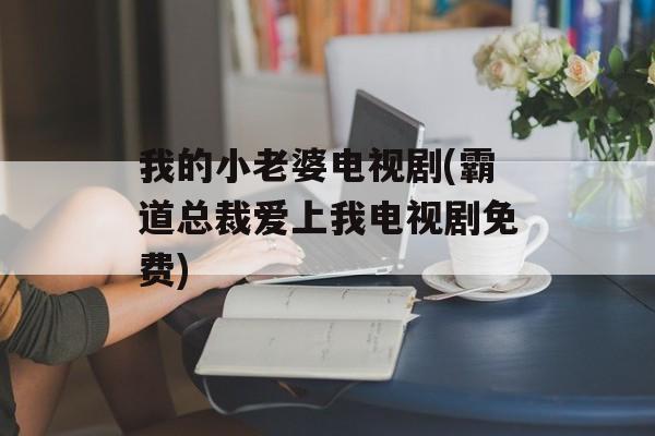 我的小老婆电视剧(霸道总裁爱上我电视剧免费)-第1张图片-