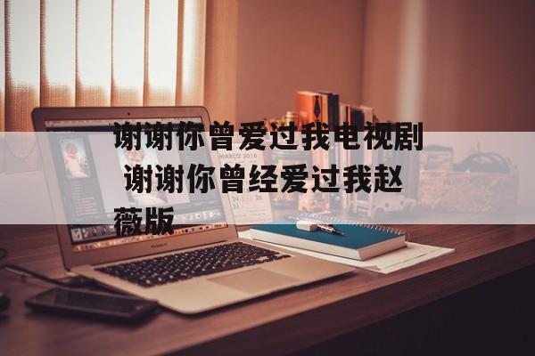 谢谢你曾爱过我电视剧 谢谢你曾经爱过我赵薇版-第1张图片-