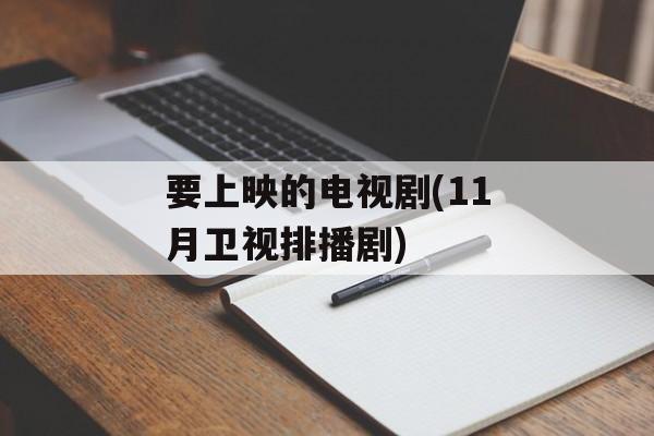 要上映的电视剧(11月卫视排播剧)-第1张图片-