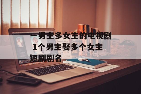 一男主多女主的电视剧 1个男主娶多个女主短剧剧名-第1张图片-