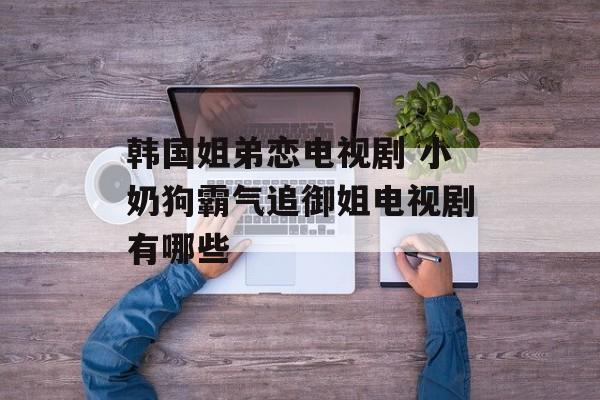 韩国姐弟恋电视剧 小奶狗霸气追御姐电视剧有哪些-第1张图片-