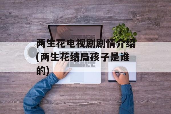 两生花电视剧剧情介绍(两生花结局孩子是谁的)-第1张图片-