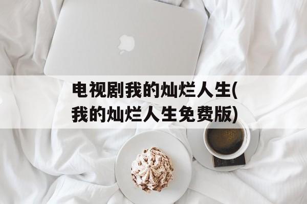 电视剧我的灿烂人生(我的灿烂人生免费版)-第1张图片-