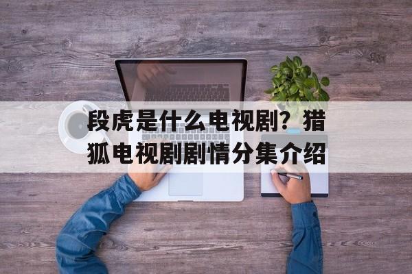 段虎是什么电视剧？猎狐电视剧剧情分集介绍-第1张图片-