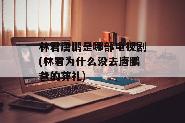 林君唐鹏是哪部电视剧(林君为什么没去唐鹏爸的葬礼)-第1张图片-