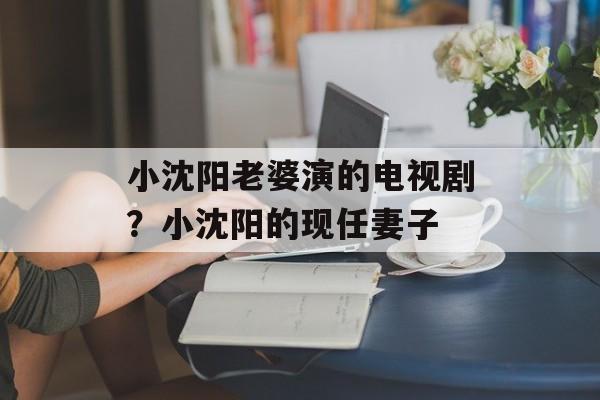 小沈阳老婆演的电视剧？小沈阳的现任妻子-第1张图片-