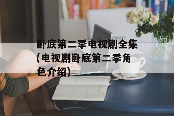 卧底第二季电视剧全集(电视剧卧底第二季角色介绍)-第1张图片-