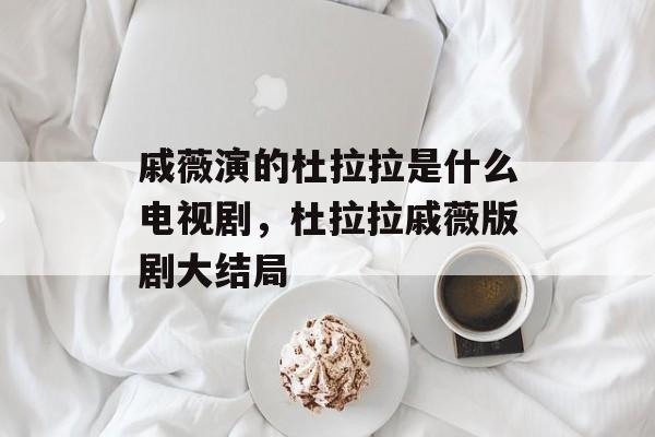 戚薇演的杜拉拉是什么电视剧，杜拉拉戚薇版剧大结局-第1张图片-