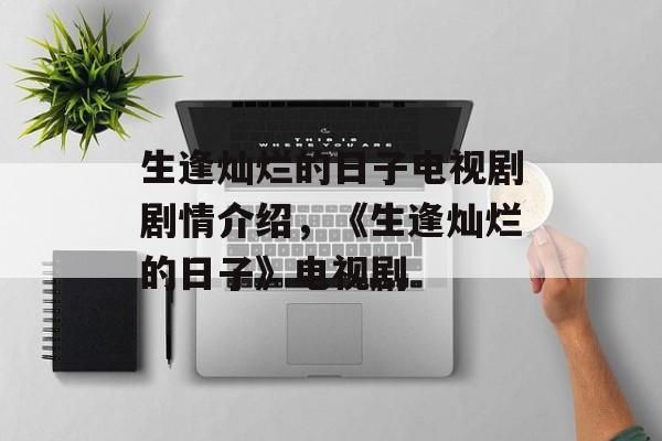 生逢灿烂的日子电视剧剧情介绍，《生逢灿烂的日子》电视剧-第1张图片-