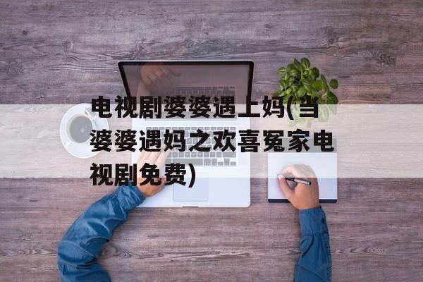 电视剧婆婆遇上妈(当婆婆遇妈之欢喜冤家电视剧免费)-第1张图片-