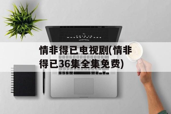 情非得已电视剧(情非得已36集全集免费)-第1张图片-