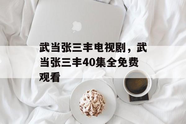 武当张三丰电视剧，武当张三丰40集全免费观看-第1张图片-