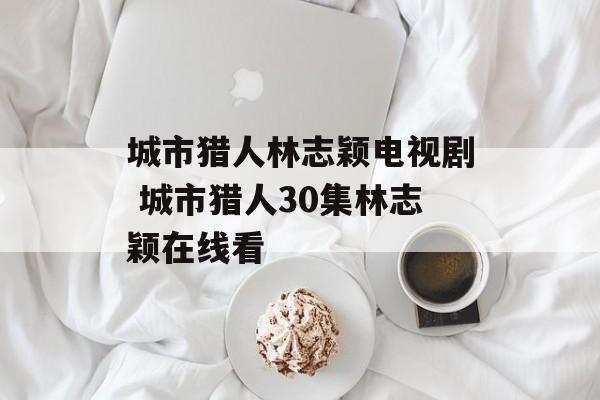 城市猎人林志颖电视剧 城市猎人30集林志颖在线看-第1张图片-