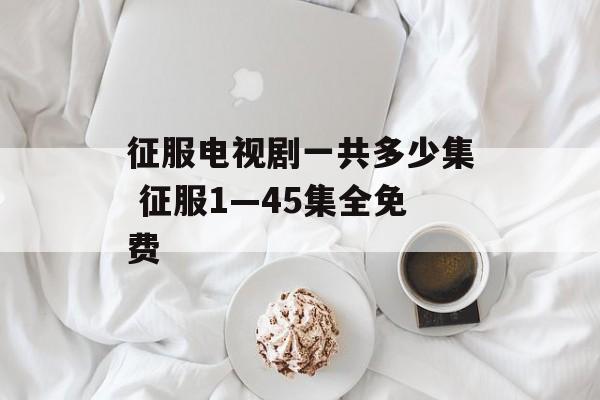 征服电视剧一共多少集 征服1—45集全免费-第1张图片-