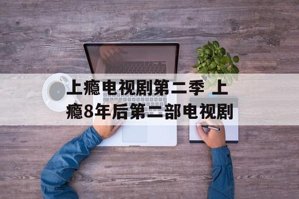 上瘾电视剧第二季 上瘾8年后第二部电视剧-第1张图片-