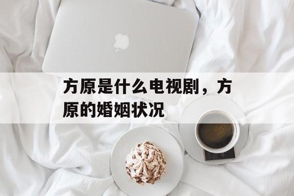 方原是什么电视剧，方原的婚姻状况-第1张图片-