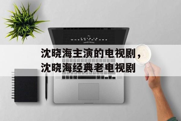 沈晓海主演的电视剧，沈晓海经典老电视剧-第1张图片-