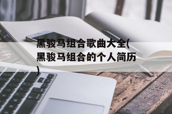 黑骏马组合歌曲大全(黑骏马组合的个人简历)-第1张图片-