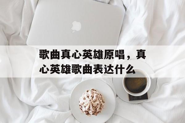 歌曲真心英雄原唱，真心英雄歌曲表达什么-第1张图片-