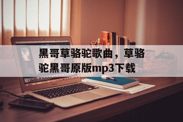 黑哥草骆驼歌曲，草骆驼黑哥原版mp3下载-第1张图片-