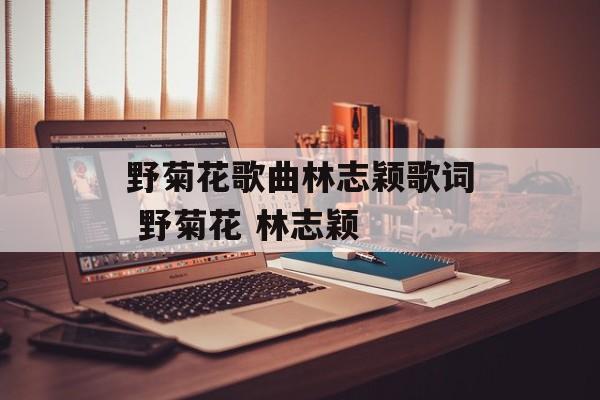 野菊花歌曲林志颖歌词 野菊花 林志颖-第1张图片-
