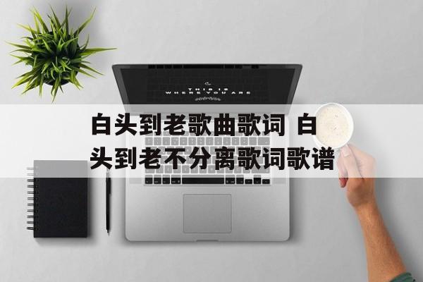 白头到老歌曲歌词 白头到老不分离歌词歌谱-第1张图片-