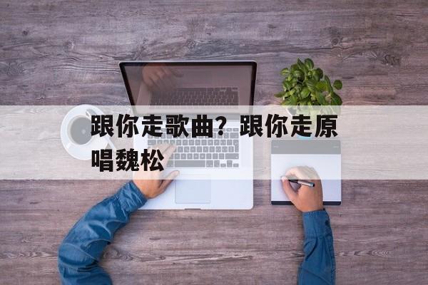 跟你走歌曲？跟你走原唱魏松-第1张图片-