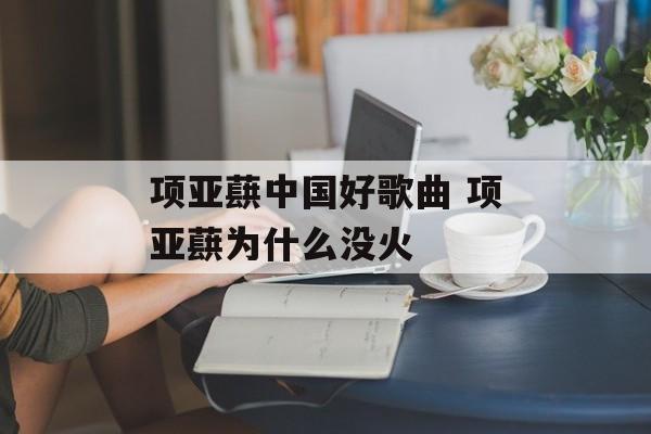 项亚蕻中国好歌曲 项亚蕻为什么没火-第1张图片-