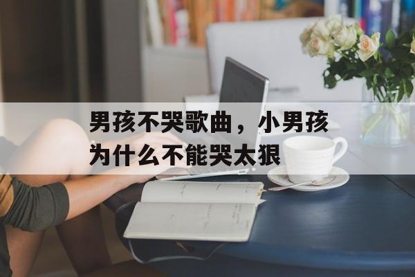 男孩不哭歌曲，小男孩为什么不能哭太狠-第1张图片-