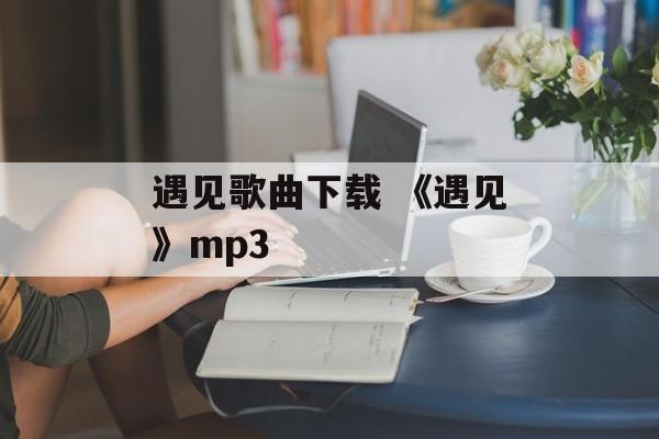 遇见歌曲下载 《遇见》mp3-第1张图片-