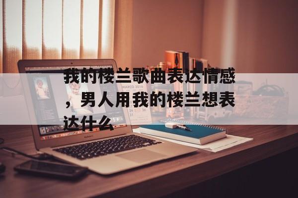 我的楼兰歌曲表达情感，男人用我的楼兰想表达什么-第1张图片-