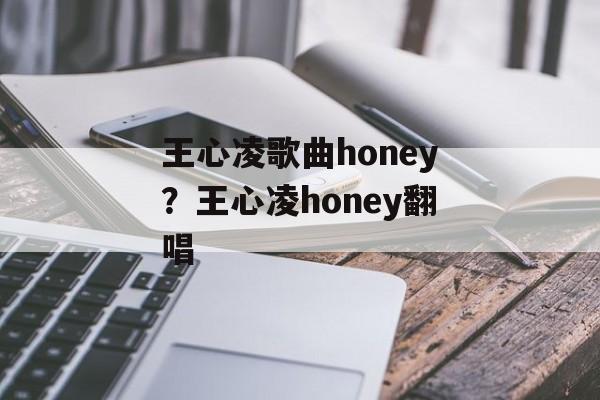 王心凌歌曲honey？王心凌honey翻唱-第1张图片-