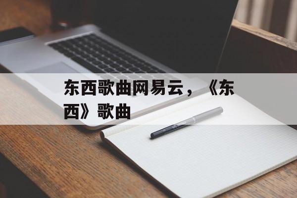 东西歌曲网易云，《东西》歌曲-第1张图片-