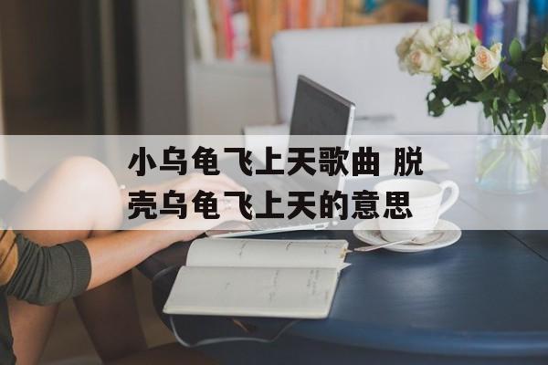 小乌龟飞上天歌曲 脱壳乌龟飞上天的意思-第1张图片-