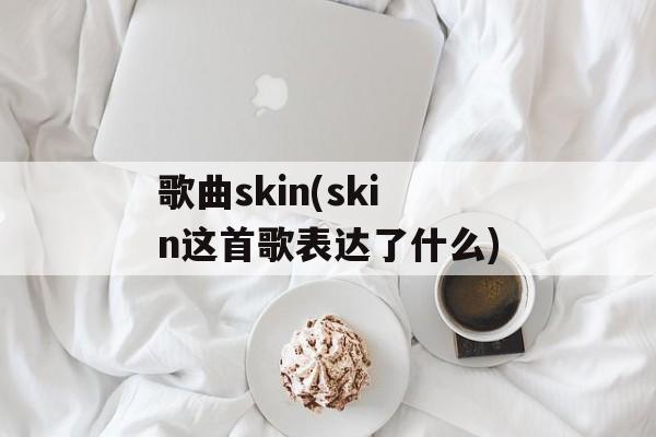 歌曲skin(skin这首歌表达了什么)-第1张图片-