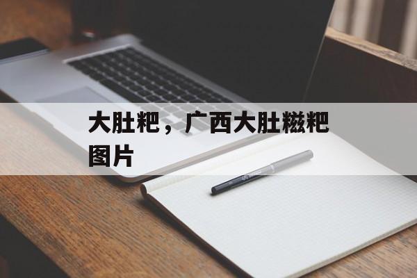 大肚粑，广西大肚糍粑图片-第1张图片-