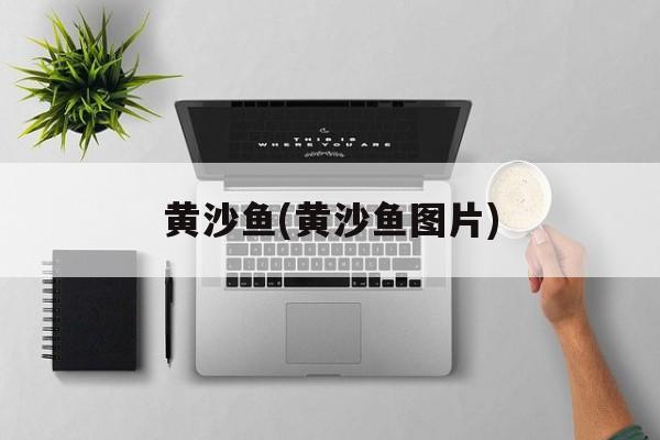 黄沙鱼(黄沙鱼图片)-第1张图片-